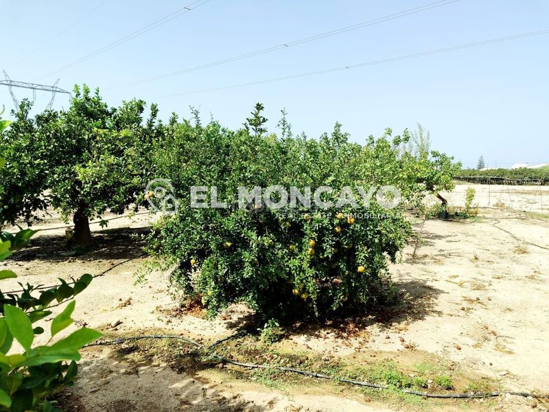 Foto 14b1f554-8c5c-48ee-a5c6-a26e0dbcd70f. Casa amb aparcament a Las Bayas Elche / Elx