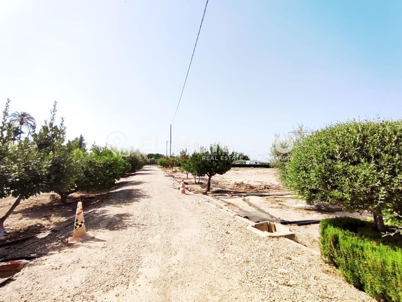 Foto 3ed20768-cea3-4366-95a1-50f0d2fe1705. Casa amb aparcament a Las Bayas Elche / Elx
