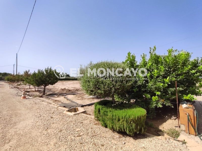 Foto 444451c5-8bc3-4ff3-9396-e1ea1413a080. Casa amb aparcament a Las Bayas Elche / Elx