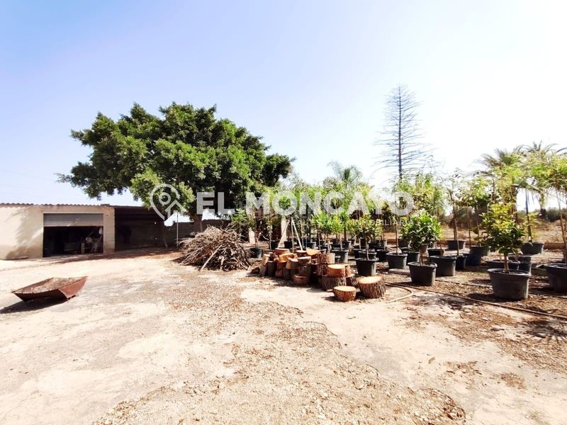 Foto 81b4c61a-ee19-4a9b-8a9a-ea358498be08. Casa amb aparcament a Las Bayas Elche / Elx