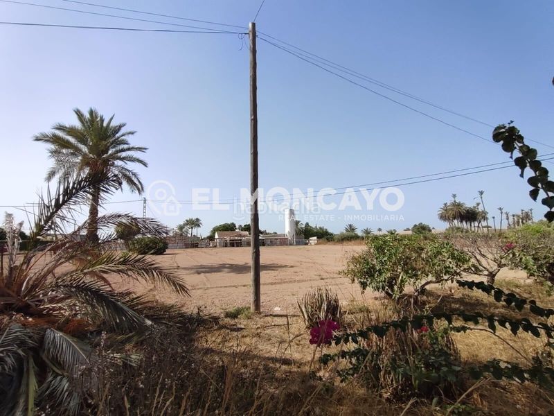 Foto c313a65f-56b3-4c28-80ec-ea8d2e569eb8. Casa amb aparcament a Algorós - El Derramador Elche / Elx