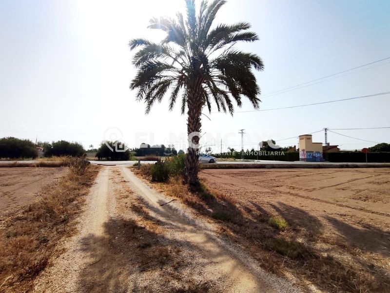 Foto e8253b1a-eddd-4a7e-8e3d-22ae06432d88. Casa amb aparcament a Algorós - El Derramador Elche / Elx