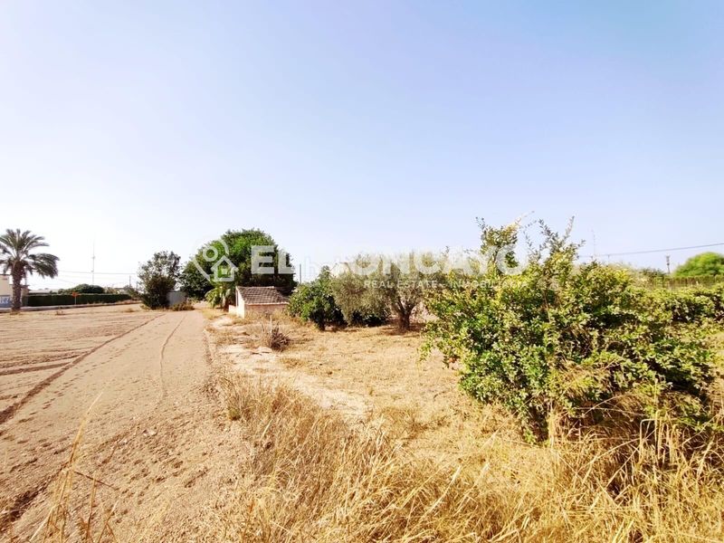 Foto f9abbbea-3c07-4996-a25f-766474699e22. Casa amb aparcament a Algorós - El Derramador Elche / Elx