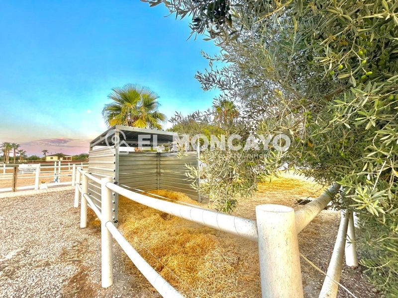 Foto 40ef81d9-512b-412c-9b04-b4b27605315f. Casa amb calefacció aparcament piscina a Dolores