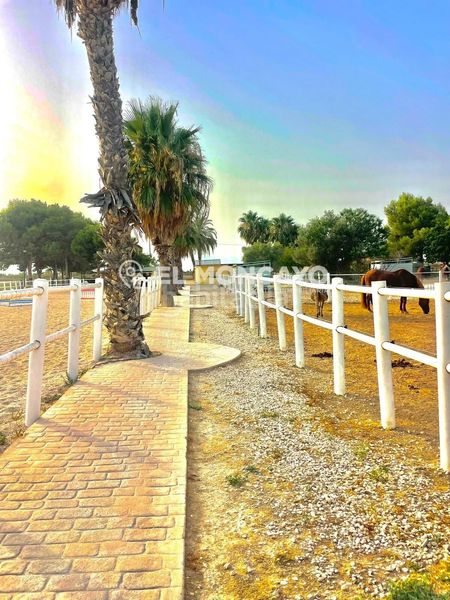 Foto 6edae0c0-f035-4e30-99a4-14531cea212c. Casa amb calefacció aparcament piscina a Dolores