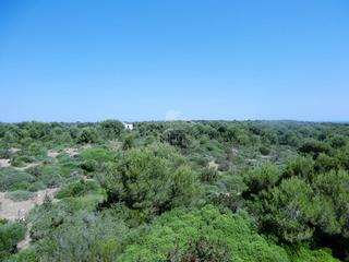 Propriété à Cala Morell. Ref. 2767 terreno rústico en cala morell