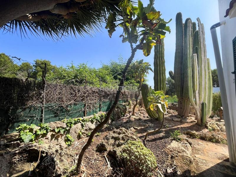 Foto 764228bd-89d9-4f5e-99cb-0d77017a9f17. Casa a Cala Blanca Ciutadella de Menorca