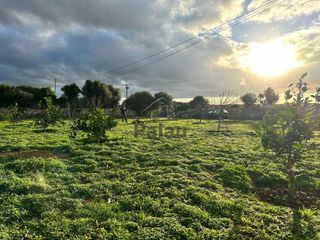 Residential Plot in Ciutadella. Ref. 4506 espectacular finca agrícola