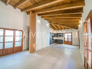Penthouse in Sant Nicolau