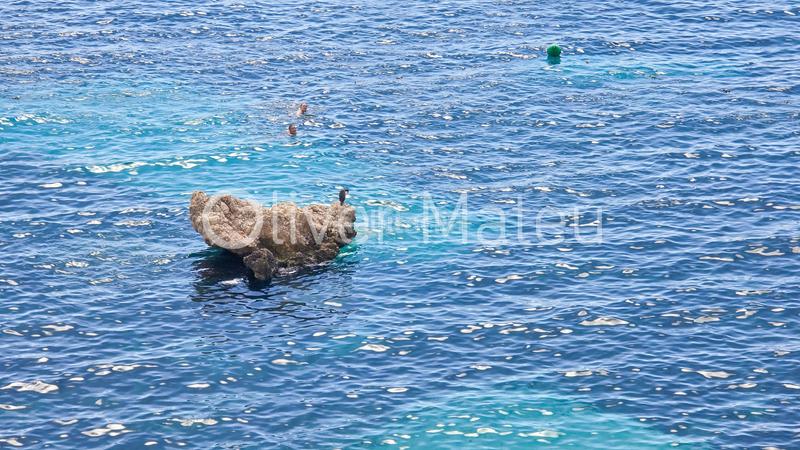 Foto ac05b22e-459c-4e3f-aee4-b0f140da2754. Piso en Cas Català-Illetes Calvià