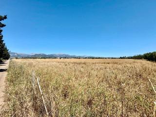 Rural plot in Zona Periurbana