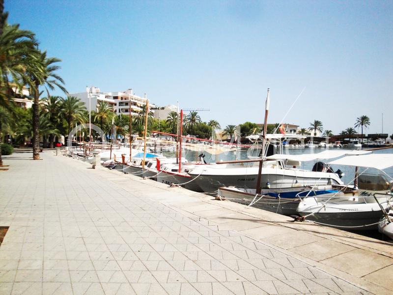 Foto 022e5f84-c853-4b78-bb08-f796679069a4. Studio dans port d´Alcúdia-platja dálcúdia Alcúdia