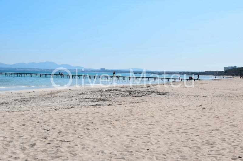 Foto 16394ce0-0db0-448b-b772-49c2581f75a5. Studio dans port d´Alcúdia-platja dálcúdia Alcúdia