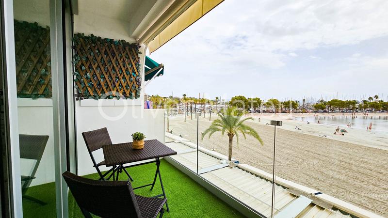 Foto 1cde69c6-f746-442f-9c44-4b36df606a59. Studio dans port d´Alcúdia-platja dálcúdia Alcúdia