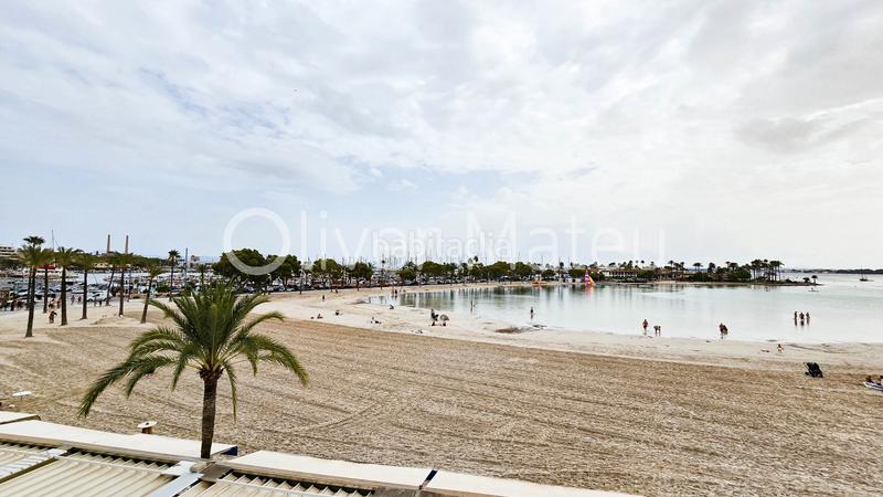 Foto 5b4f2dde-4d28-4b92-9d7c-175ebe028fbf. Studio dans port d´Alcúdia-platja dálcúdia Alcúdia