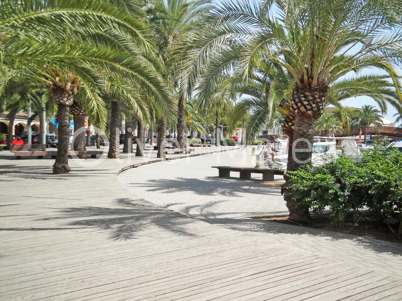 Foto 8449a2d9-0bd0-4fc1-b5c2-b1babdf6bee2. Studio dans port d´Alcúdia-platja dálcúdia Alcúdia