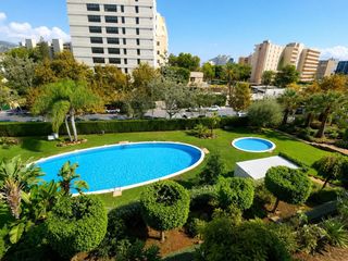 Rent Flat in Palmanova. Alquiler temporal en palmanova  hasta 11 meses no vivienda habit