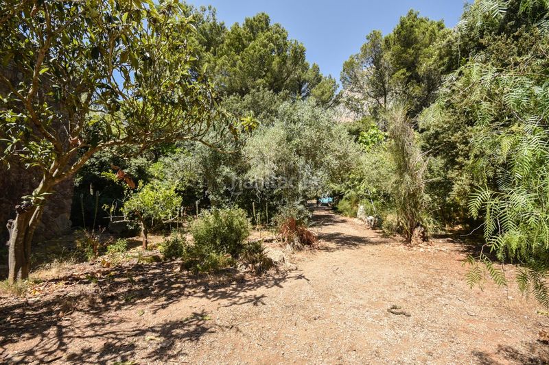 Foto 3b01d6f7-cbbe-4503-bd21-5a77550ff540. Masia amb aparcament a Puigpunyent