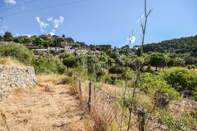 Foto 6df93bf5-95c2-4c58-a411-6231c44f2c08. Planta baixa a Puigpunyent