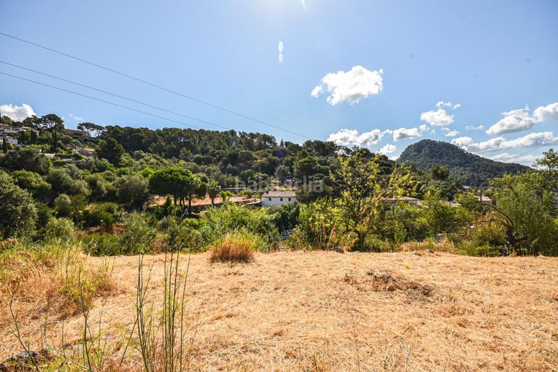 Foto bceab885-d7c4-4940-ab81-ef4ba4d135c3. Planta baixa a Puigpunyent
