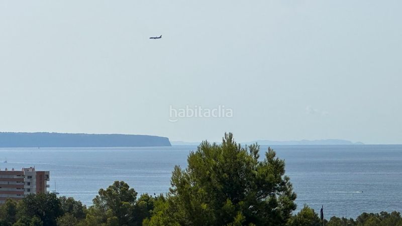 Foto 218f1547-0f0b-4141-aeb7-26d66a8ade3f. Masia a Gènova Palma de Mallorca