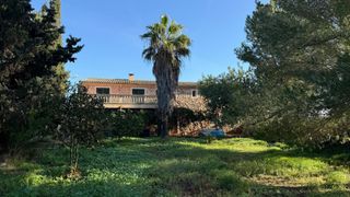 Mas à Camino del palmer 528. Finca rústica en campos con vivienda en dos plantas, almacenes y