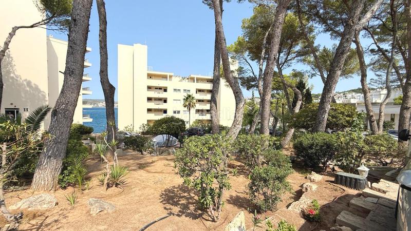 Foto 7a29a834-f187-4afe-adda-ef6e820ef899. Location appartement avec parking piscine dans Costa de la Calma Calvià
