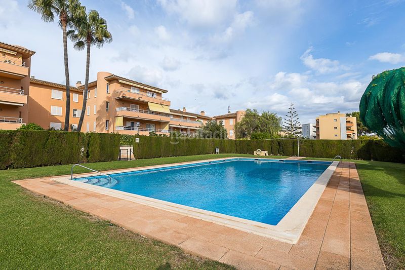 Foto 3d8b7dbb-f20b-4ba4-8093-7dfeeb0a943b. Pis amb aparcament piscina a Maioris-Puig de Ros Llucmajor