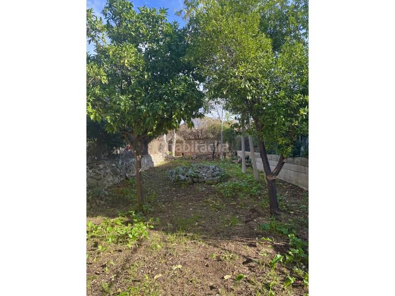 Foto a739190b-33be-4a01-a4ac-6ebff9182f34. Affitto casa in Alaró