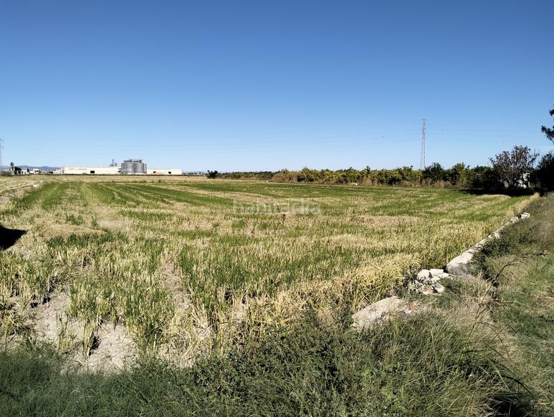 Foto 540ace8e-ca08-45c6-a33c-e0ddbecb9dce. Nau industrial a vía pista 58 a Sueca Sueca