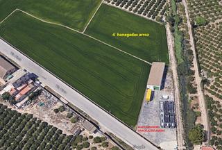 Propriété à Vía pista 52. Se vende parcela/secadero + campo 4 hanegadas de arroz + nave/gr