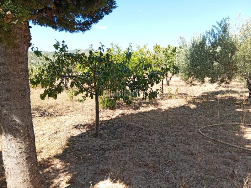 Foto 3c20a3ca-8972-449b-8e87-c03b1bd835ed. Bauernhof mit kamin parking in Calles