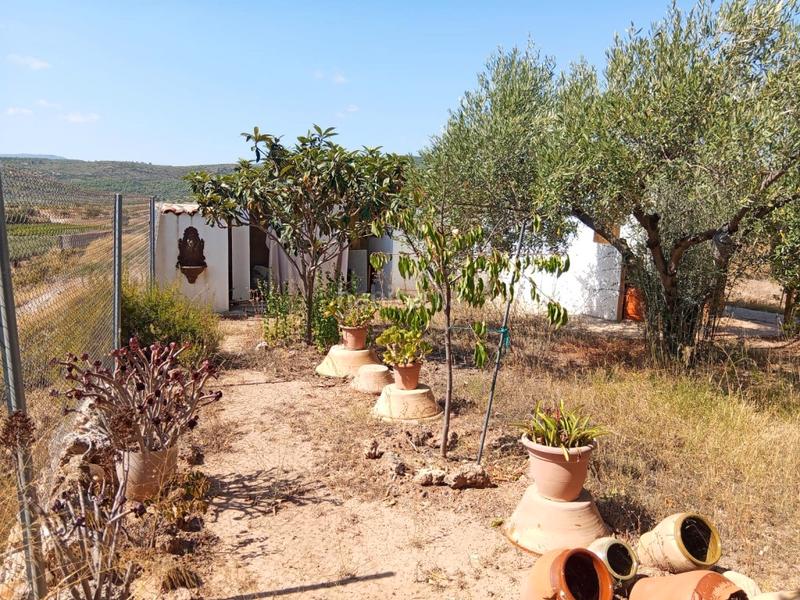 Foto 48df6f93-e3a0-4849-8998-75223dea83db. Bauernhof mit kamin parking in Calles