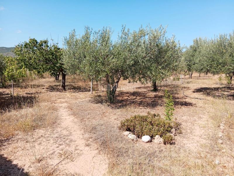 Foto 8b102422-75e5-4786-902d-4c003b9a8315. Bauernhof mit kamin parking in Calles