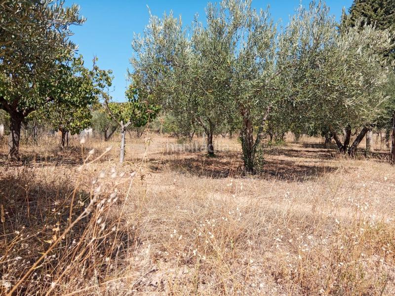 Foto a25a359e-0535-4d8a-b28b-3709f1f42cf6. Bauernhof mit kamin parking in Calles