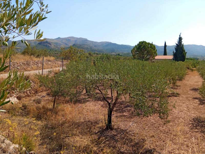 Foto db997aa7-88bb-414a-9511-2ec3f6ab32ef. Bauernhof mit kamin parking in Calles