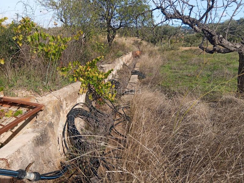 Foto 16502a0f-a757-4219-a7ab-8f35684c6505. Bauernhof in Calles