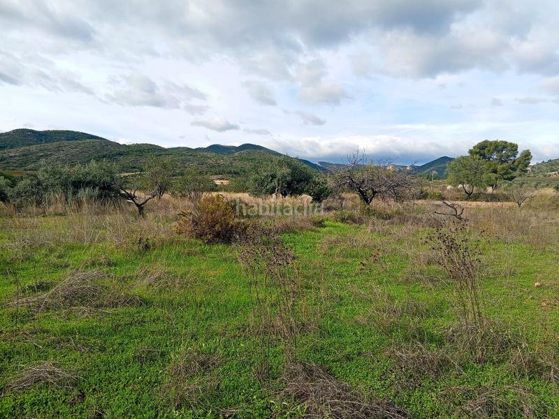 Foto 6c29d510-0cb4-41c7-8247-cc9249fcd8ea. Bauernhof in Calles