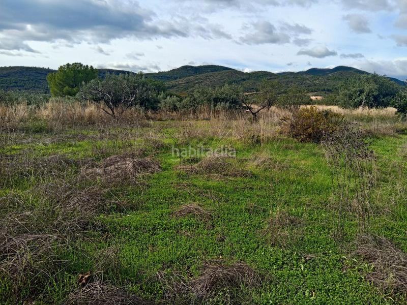 Foto 83fc1fc2-6183-48bc-8ee4-9549b121faf0. Bauernhof in Calles