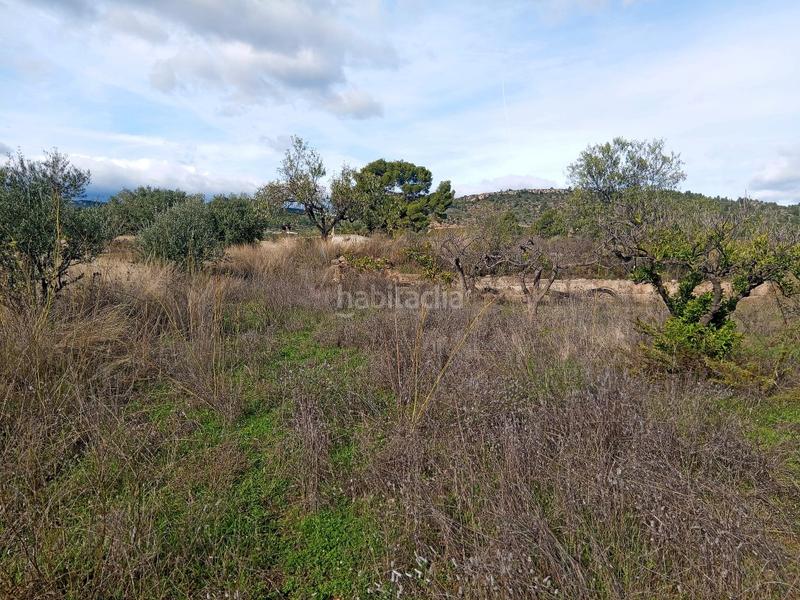 Foto b0de9dab-ab96-4b3f-99bb-39540753371c. Bauernhof in Calles