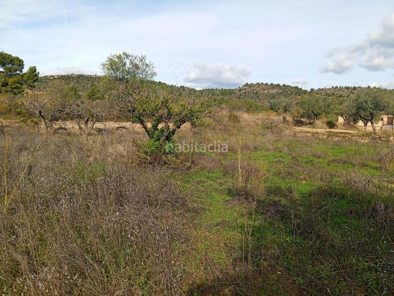 Foto d1aa0bf4-ee94-4bdc-8363-b837da01c57f. Bauernhof in Calles