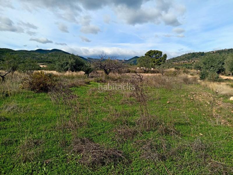 Foto d616d292-a493-4d82-9f5e-8474e3a938df. Bauernhof in Calles