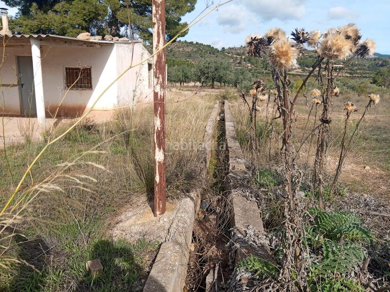 Foto ec3b78dd-5108-4af5-bdfe-d1c37e4917bf. Bauernhof in Calles