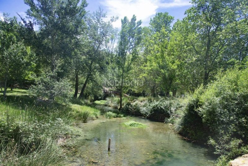 Foto cc401274-4e7c-41bd-9faf-e67a48b3c531. Pis a Tuéjar