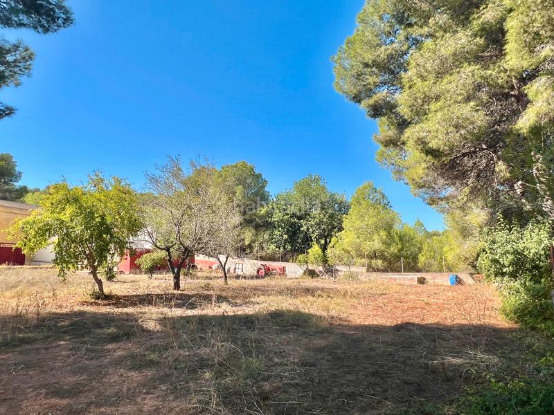 Foto f277dae3-ad3c-419c-b99e-89437e477f4c. Chalet in calle diseminado 9503 in Turís