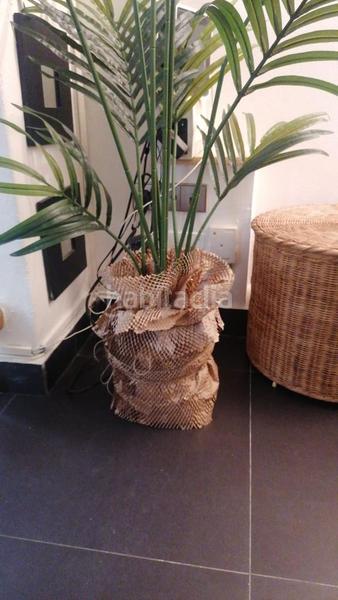 Foto f3d26a94-76d8-4da7-807e-6c24637b944d. Affitto duplex in Dalt Vila-La Marina Ibiza