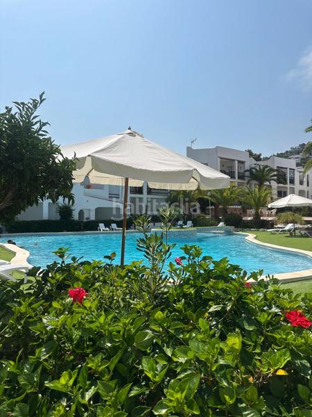 Foto f5c9e973-6702-41a4-922e-1be459b58ae2. Piccolo appartamento in carrer els ficus 14 in Santa Eulària des riu Santa Eulària