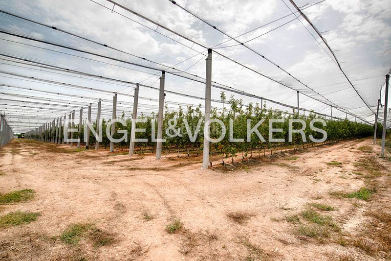 Foto 41628f69-d6fb-47a3-acd2-527f353b2c46. Casa con camino in Castelló d´Empúries