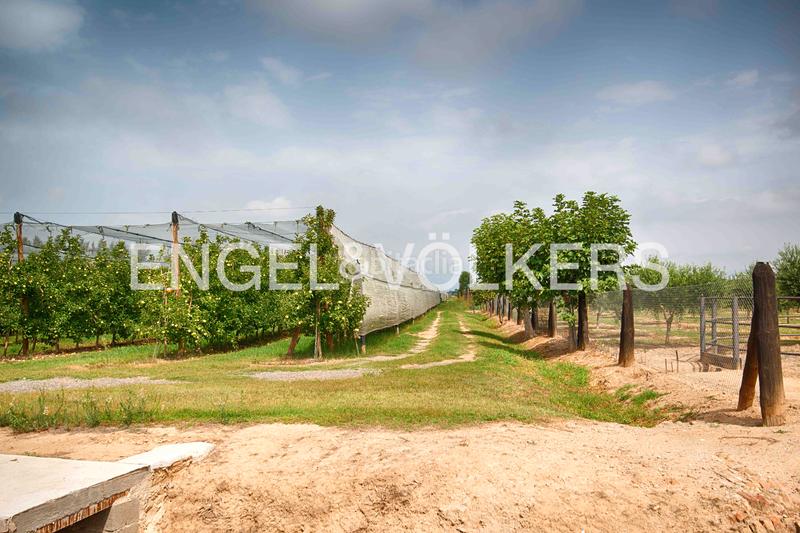 Foto 80fa3033-f31a-43e1-a180-96c34ff6f828. Casa con camino in Castelló d´Empúries