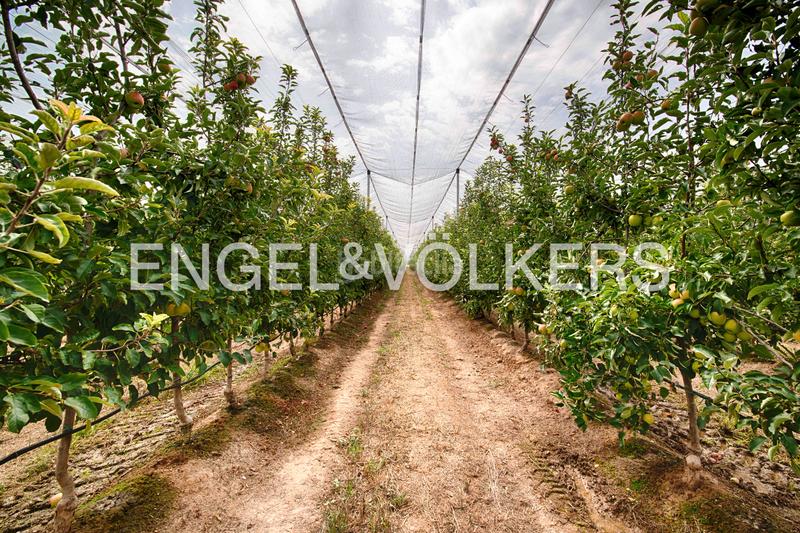 Foto 914db53b-a21c-475f-b8ca-74ce0e6b7558. Casa con camino in Castelló d´Empúries